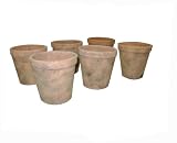 Greenhouse Collection Small Full Pots (Set of 6)