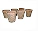 Greenhouse Collection Small Full Pots (Set of 6)