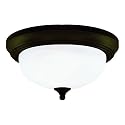 Westinghouse 64291 13-Inch Two-Light Flush Mount Fixture, Oil Rubbed Bronze with Frosted White Alabaster Globe