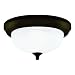 Westinghouse 64291 13-Inch Two-Light Flush Mount Fixture, Oil Rubbed Bronze with Frosted White Alabaster Globe