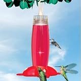 Hummingbird Rosepetal Feeder, 19 Oz
