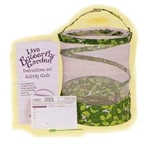 Live Butterfly Garden