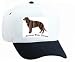 White Cap with spaniel, dog, water, dark, American, american