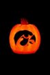 Iowa Hawkeyes Pumpkin Luminary includes 8 hour timer function 7 1/4"x6" - Iowa