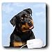 rottweiler22  - Dogs Rottweiler Rottweiler Mouse Pads