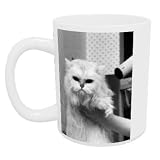 Cat Flap - Mug