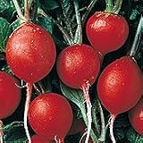 Organic Cherry Belle Garden Radish - 100 Seeds - B001ESOMIS