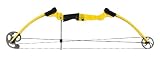 Genesis Bow