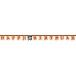 Pirate-Theme Birthday Party Jointed Banner