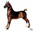 Breyer Heartland Equality Hackney Pony