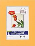 ナカバヤシ　DigioカラーVカットマット台紙　Ｌサイズ　オレンジ　DGVM-L-O