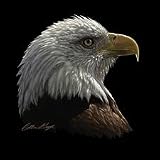 Bald Eagle Portrait Adult T-Shirt