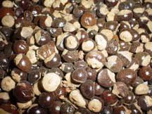 Guarana - 114 grams Seed