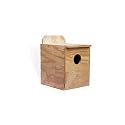 Parakeet Nest Box