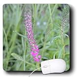 Patricia Sanders Flowers - natures beauty - Mouse Pads