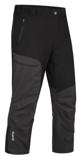 Salewa Herren Tourenhose MEIJE 2 WS SHORTS BIB, schwarz (900), 26 Preisvergleich
