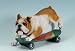 Tan + White English Bulldog on Skateboard Statue