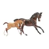 Sport Horse and Foal bay and chestnut