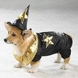 Pet Costume Woof Wizard MEDIUM