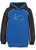 Reebok Detroit Lions Ash Playbook Hoody Sweatshirt