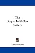 The Dragon In Shallow Waters