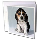 Dogs Beagle - Beagle Pup - Greeting Cards-12 Greeting Cards with envelopes