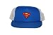 Search : DC Comics Superman Trucker Hat - Blue