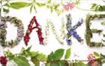 Magnet "Danke" Rannenberg und Friends
