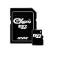 Ex-Pro Micro SD Transflash 2GB Secure Digital Memory Card with adapters suitable for Samsung J150, J200, J210, J600, J630, J700, J750, L320, L600, L760, L770, M610, M620, P310, P850, P960, P930, P940