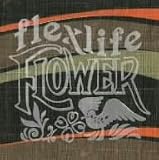 flower

 &nbsp;(����ǥ��������᡼����)&nbsp;