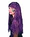 Long Glamour Tinsel Wig (Purple) Adult Halloween Costume Accessory
