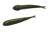 FoodSource 2 Turkey Creek Darter Color/Scent: Pearl; Baitfish