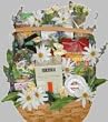 Deluxe Diabetic Gift Basket
