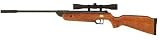 Beeman Precision Airguns Sportsman Series 650 .177cal Break Barrel Combo with Scope