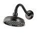 Tools & Hardware : Price Pfister Oil Rubbed Bronze Raised Rain Shower Head