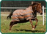 Rhino Wug Turnout Light (Chestnut)