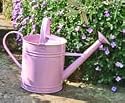 Pretty pastel pink watering can