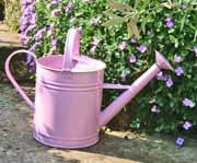 Pretty pastel pink watering can