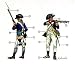 AMERICAN INF US INDEP. WAR