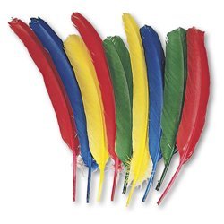 Quill Feathers, Assorted Colors, 24 Feathers per Pack