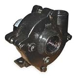 Dayton 2ZWX9 Pedestal Pump, Centrifugal, HP Req. 3