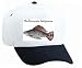 White Cap with fish, aquarium