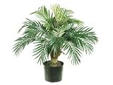 26 Inch Artificial Phoenix Palm Plant in pot - B000MZYG1M