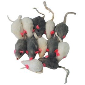 Fur Mice - 12 pack by Cosmic