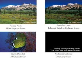 MX661 DLP Projector with Colorific Technology