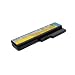 6 Cell Li Battery Y450/Y550