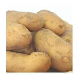 �k�C�����Ⴊ�����@�V���Ⴊ�@�������@���ӂ����[�N�C���@L�T�C�Y5kg��