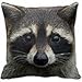 Generic Cute Young Raccoon Face Mask and Stare Close Up Pillow Cover Square 18 X 18 Inches
