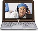Toshiba Mini NB305-N410BN 10.1-Inch Java Brown Netbook - 11 Hours of Battery Life
