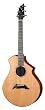 Breedlove Master Class CM Classic Acoustic Guitar, Made in U.S.A.
